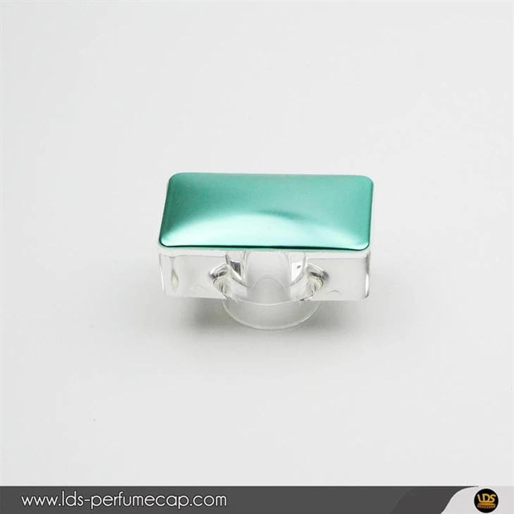 Exquisite Plastic Cap